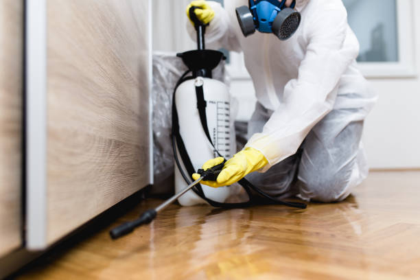  Mayfair, CA Pest Control Pros