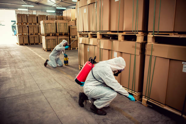 Best Exterminator Services  in Mayfair, CA