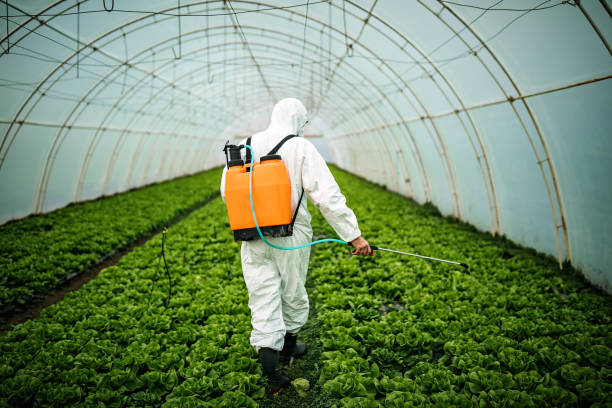 Trusted Mayfair, CA Pest Control Experts