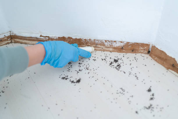 Best Pest Removal Services  in Mayfair, CA